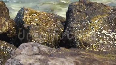 背景上的大石头溅起海浪。 海浪在海滩上的湿岩石上破碎，以及